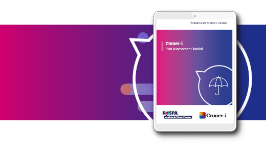 DR-590 Croner-i toolkit web partial Risk Assessment