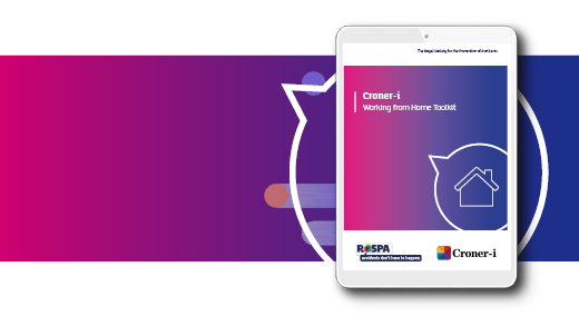 DR-590 Croner-i toolkit web partial- WFH