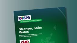 Welsh Manifesto page partial 2