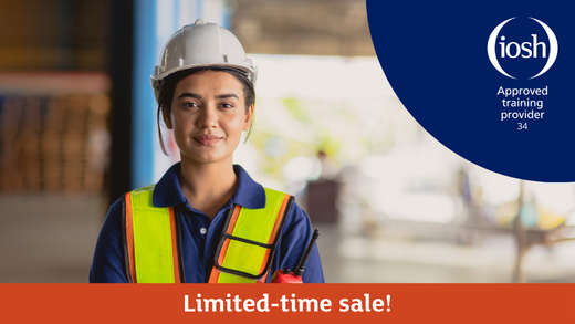 Workplace Flash Sale Page Partial - 520x293px 