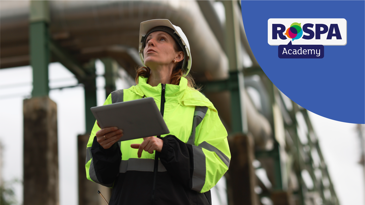 DR-493 RA PP_Risk Assessment in Practice