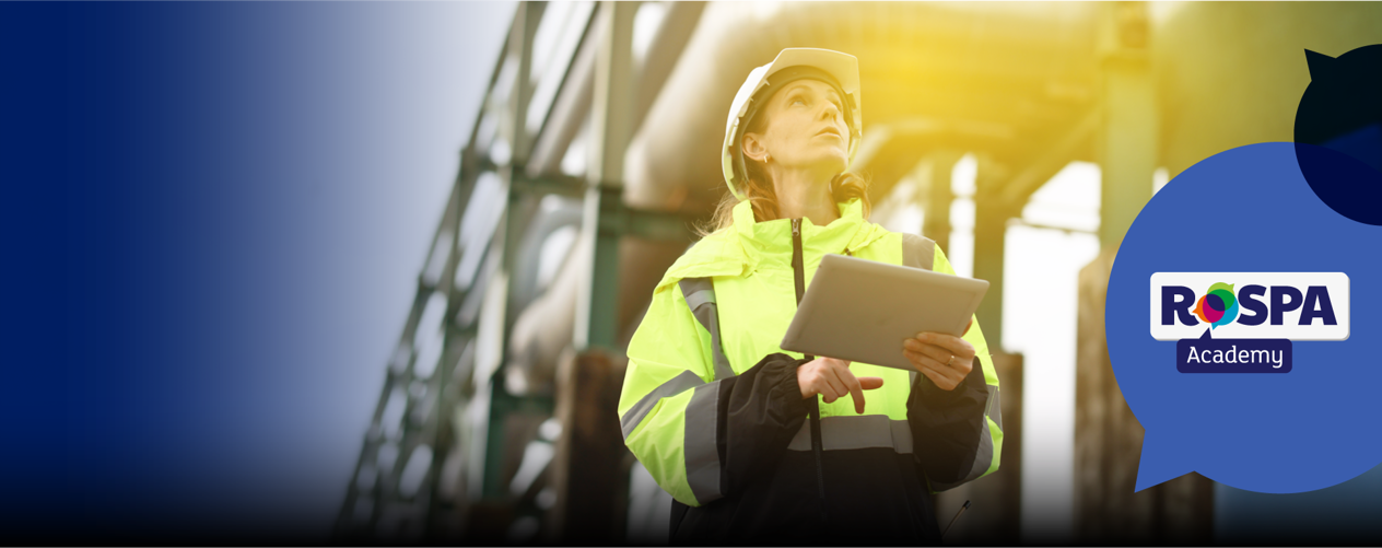 DR-493 RA_Risk Assessment in Practice