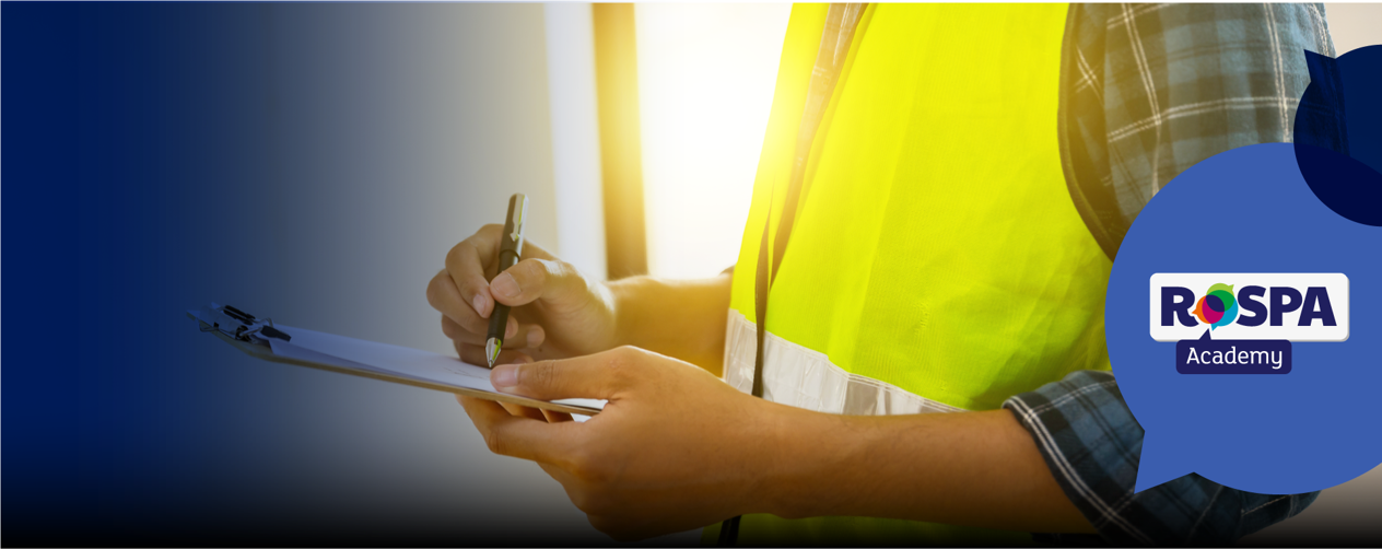 DR-493-2_Roles and responsibilities LP